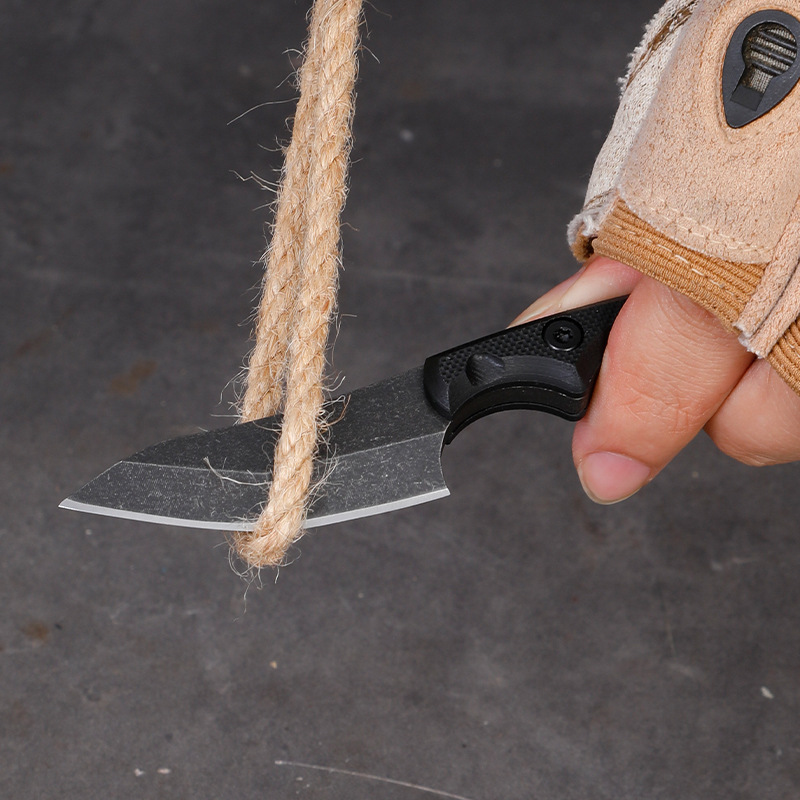 5CR15 Stainless Steel Small Fi - Edc Carry Pocket Knife recensie en prijs
